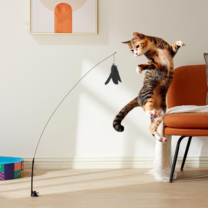 Vogelspel™  - Interactief kattenspeelgoed